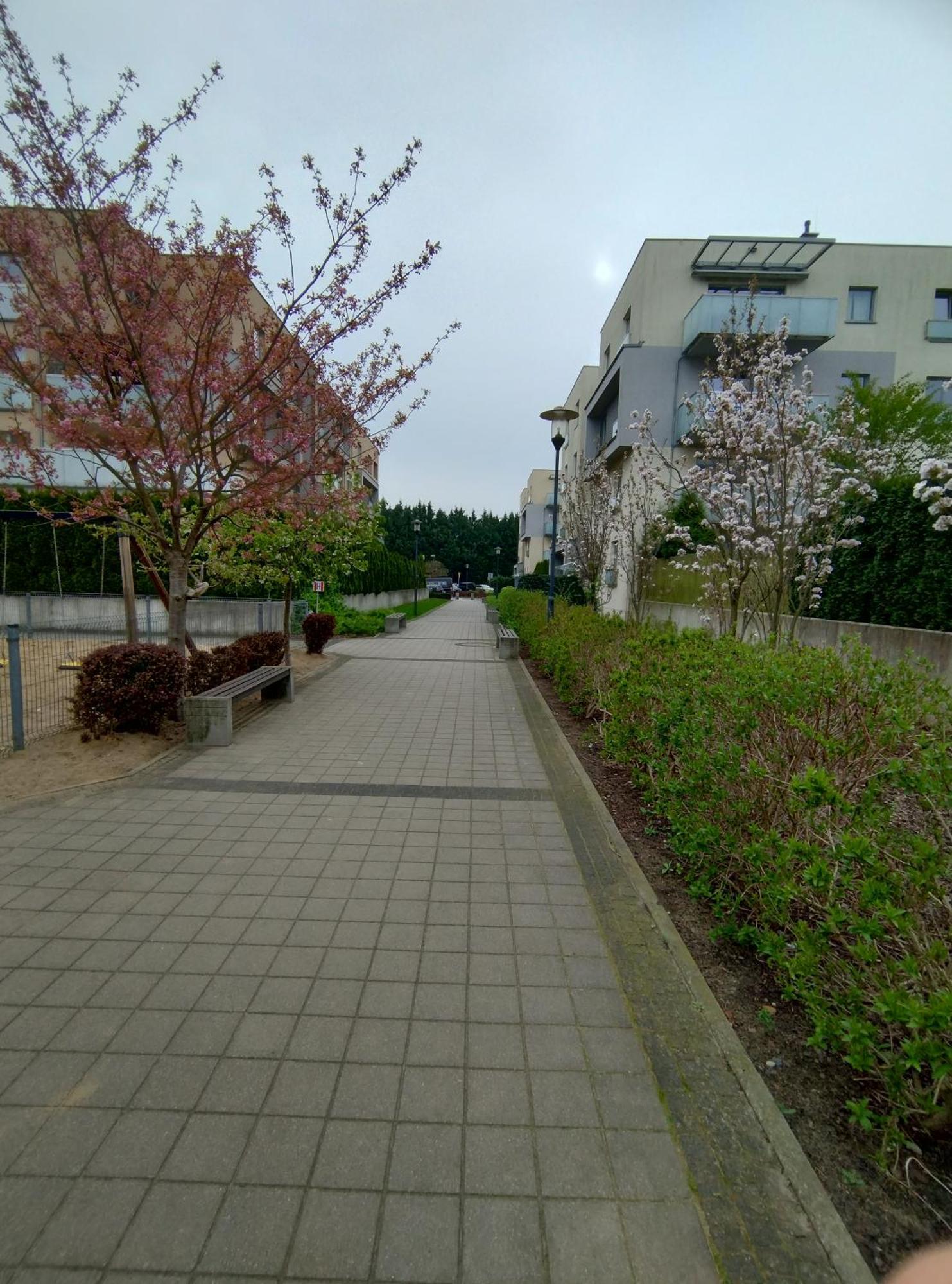 Apartament 1E Barbakan Stettin Exterior foto